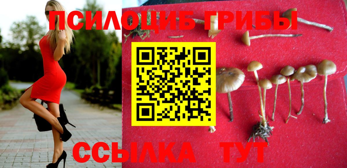 Псилоцибиновые грибы Cubensis Долгопрудный
