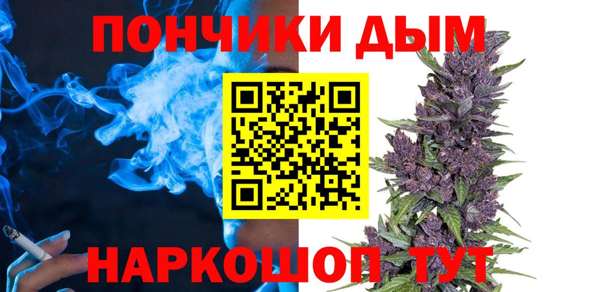 Бошки марихуана индика  Марихуана план  Вход с VPN  Долгопрудный  Канабис Bruce Banner 